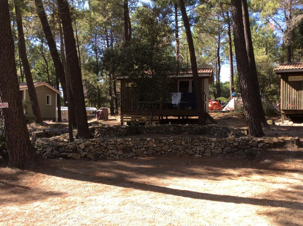 Camping La Simioune En Provence Bollène Kültér fotó